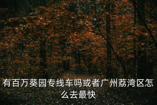 有百萬葵園專線車嗎或者廣州荔灣區(qū)怎么去最快
