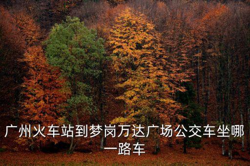 廣州公交線蘿崗萬達廣場，廈園怎什么公交車到蘿崗萬達廣場