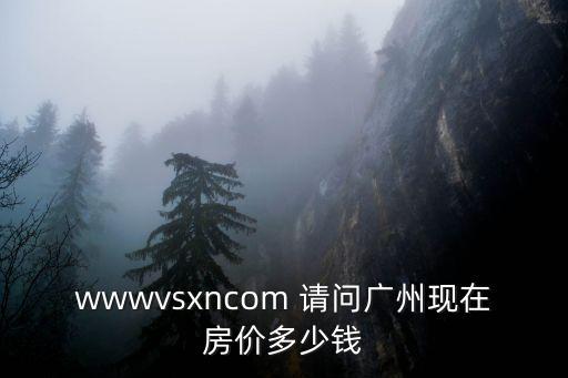 wwwvsxncom 請問廣州現在房價多少錢