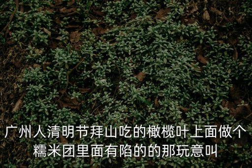 廣州永勝蚩誆聳諧，廣州越秀中山紀念堂后面的山叫什么名啊上面 有個叫廣州第一樓鎮
