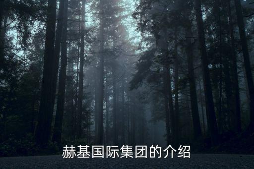 廣州赫立公司簡介，赫基國際集團的介紹