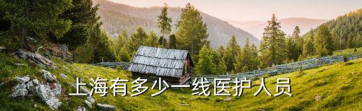 上海市本省醫(yī)生數(shù)量，上海有名的中醫(yī)醫(yī)生