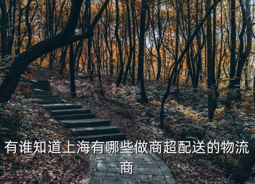 上海市內配送物流，上海市內小件速運的物流有哪些急需