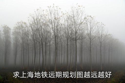 求上海地鐵遠(yuǎn)期規(guī)劃圖越遠(yuǎn)越好