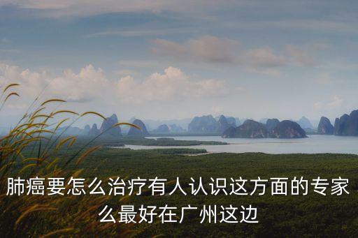 肺癌要怎么治療有人認識這方面的專家么最好在廣州這邊