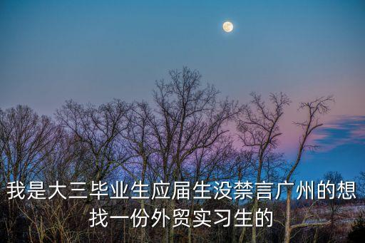我是大三畢業生應屆生沒禁言廣州的想找一份外貿實習生的