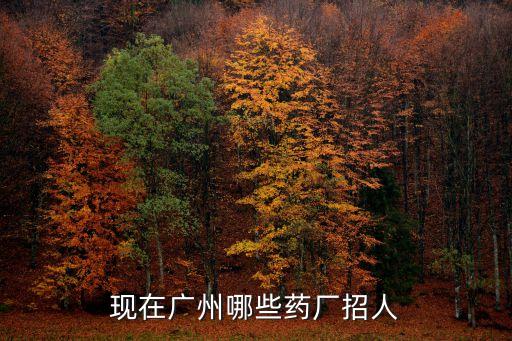 現在廣州哪些藥廠招人