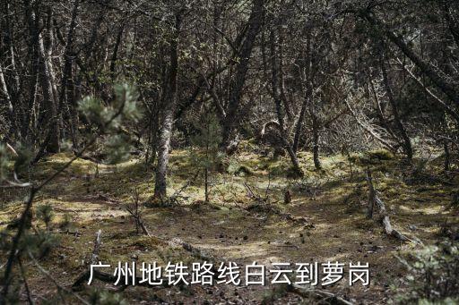廣州到蘿崗地鐵規劃，廣州地鐵路線白云到蘿崗