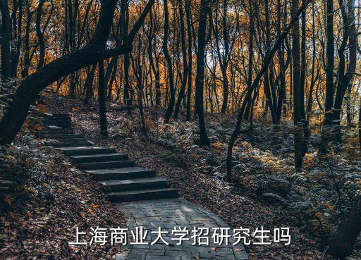 上海商業大學招研究生嗎