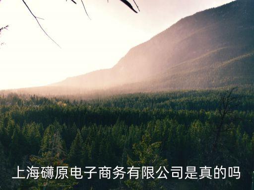 上海礴原電子商務(wù)有限公司是真的嗎
