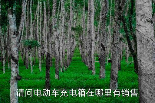 廣州單車充電柜，我在安貞醫院這邊電動自行車沒電了附近有沒有公共充電柜小綠人