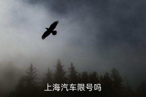 上海市車子限號嗎，上海汽車限號嗎
