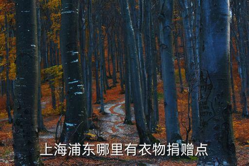 上海市梅園新村郵編，請問張揚路桃林路屬于梅園街道嗎