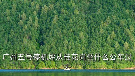 廣州五號停機坪從桂花崗坐什么公車過去