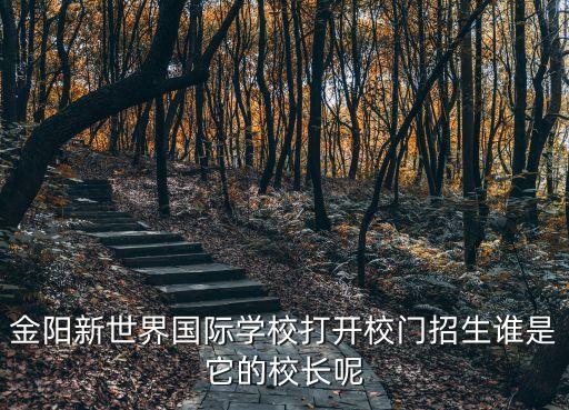 金陽新世界國際學校打開校門招生誰是它的校長呢