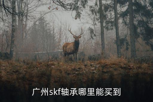 廣州skf軸承哪里能買到