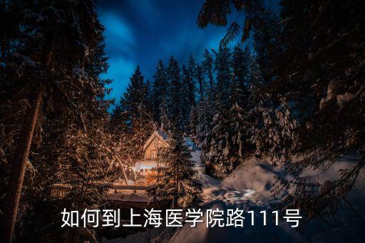 上海市醫學院路111號到中山三路，如何到上海醫學院路111號