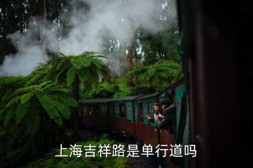 上海市單行道地圖，上海吉祥路是單行道嗎