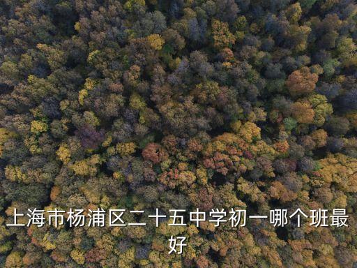 上海市楊浦區(qū)二十五中學(xué)初一哪個班最好