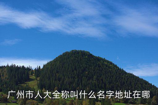 廣州市人大專委會，廣州市人大全稱叫什么名字地址在哪