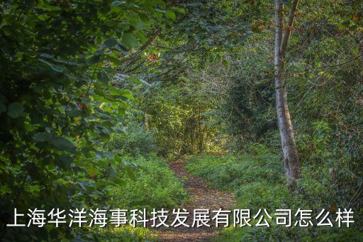 上海市華洋船舶科技開發公司，上海華洋海事科技發展有限公司派的船怎么樣