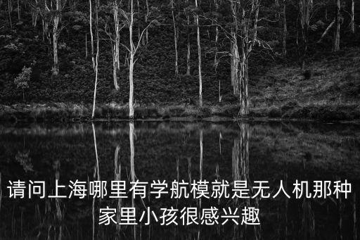 上海市航模培訓班，上海浦東金新小學有哪些興趣課