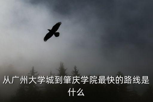 廣州大學到肇慶學院，從廣州怎么到肇慶學院