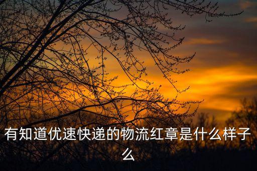 有知道優速快遞的物流紅章是什么樣子么