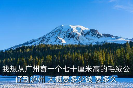 廣州到瀘州托運價格，我想從廣州寄一個七十厘米高的毛絨公仔到瀘州 大概要多少錢 要多久
