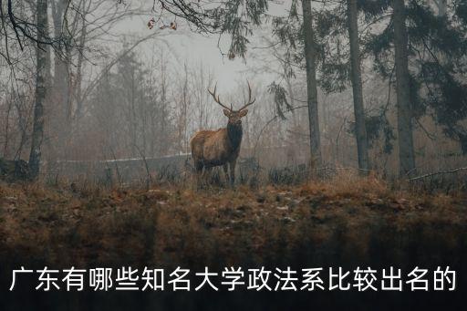 廣東有哪些知名大學政法系比較出名的