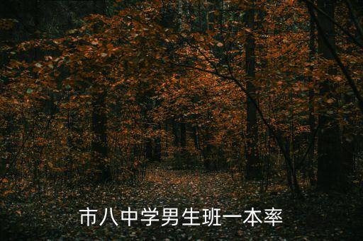上海市八中學男生班怎么樣，請問上海市市八中學男子實驗班屬于市重點嗎一本率大概多少呢謝謝