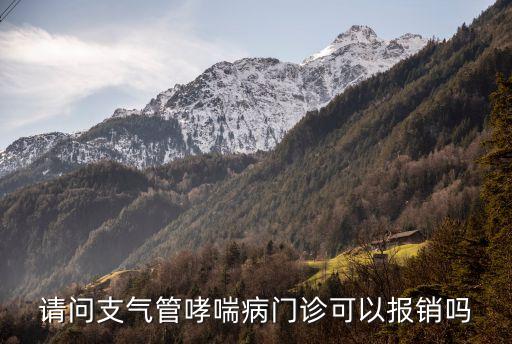 請(qǐng)問支氣管哮喘病門診可以報(bào)銷嗎