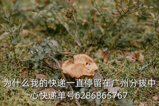 分貝通 廣州，EMS快遞到廣州航站處理中心已經很長時間一直沒動怎么辦