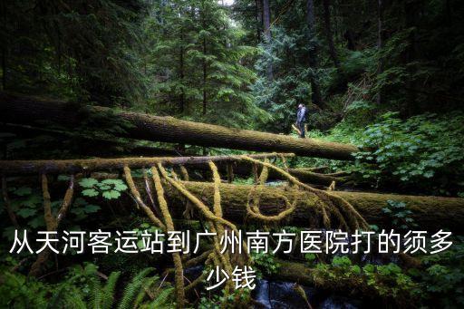 從天河客運(yùn)站到廣州南方醫(yī)院打的須多少錢(qián)