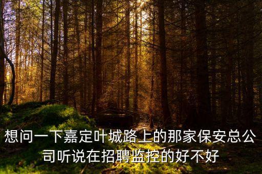 想問一下嘉定葉城路上的那家保安總公司聽說在招聘監(jiān)控的好不好