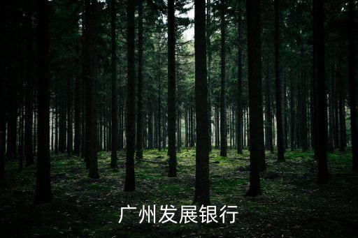 廣州發展50億可轉債，廣州發展銀行