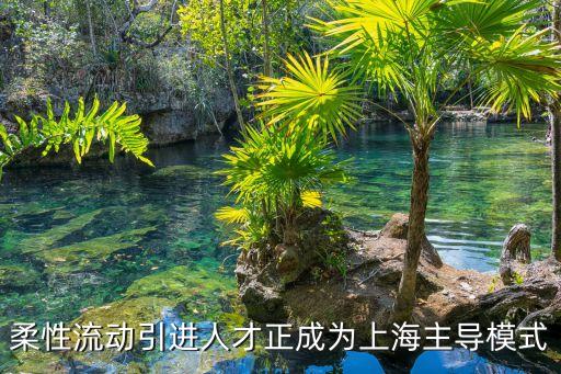 上海市 人才柔性流動機制，上海戶口落戶政策2020