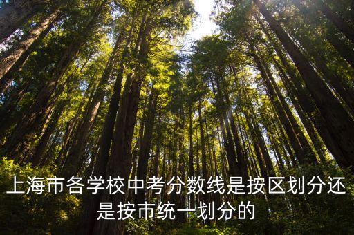 上海市初中劃分校區(qū)先按哪個，上海市各學校中考分數(shù)線是按區(qū)劃分還是按市統(tǒng)一劃分的