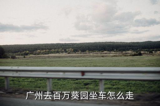 廣州南沙百萬葵園怎樣坐公交，廣州去百萬葵園坐車怎么走