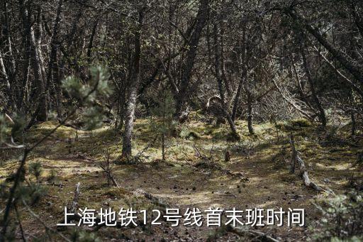 上海市12號線首末班車時間表，上海地鐵12號線運行時間
