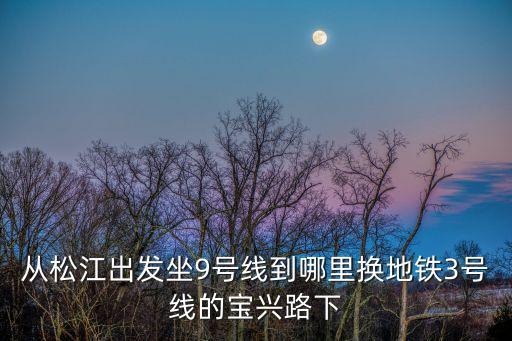 上海市北寶興路延長路附近地鐵，誰能告訴我坐地鐵幾號線能到北寶興路200號