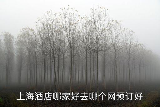 上海市旅館預(yù)訂，上海酒店哪家好去哪個(gè)網(wǎng)預(yù)訂好