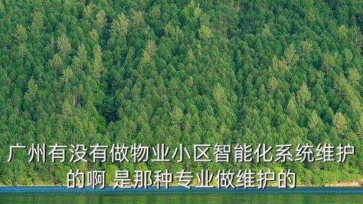 廣州有沒有做物業(yè)小區(qū)智能化系統(tǒng)維護(hù)的啊 是那種專業(yè)做維護(hù)的