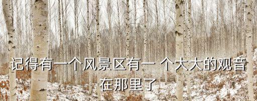 記得有一個風景區有一 個大大的觀音在那里了