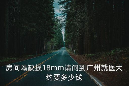 房間隔缺損18mm請問到廣州就醫大約要多少錢