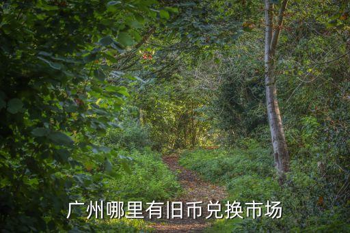 廣州舊幣兌換市場在哪，廣州哪里有舊幣兌換市場