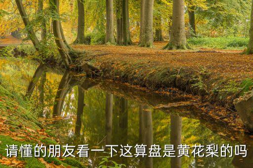 請懂的朋友看一下這算盤是黃花梨的嗎