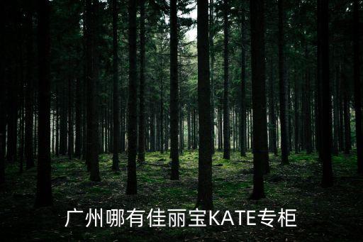 廣州哪里有佳麗寶賣，廣州哪里有嘉娜寶Kanebo的專柜