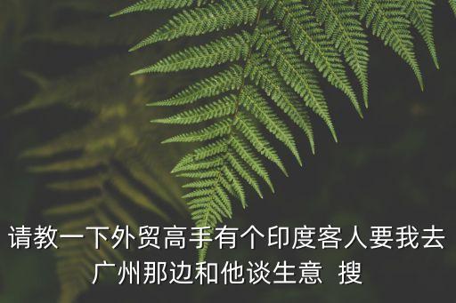 請教一下外貿高手有個印度客人要我去廣州那邊和他談生意  搜