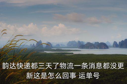 韻達快遞都三天了物流一條消息都沒更新這是怎么回事 運單號